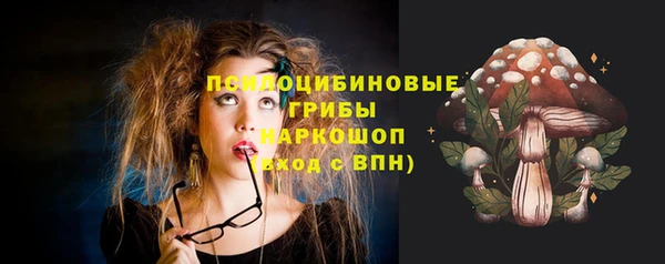 a pvp Слюдянка