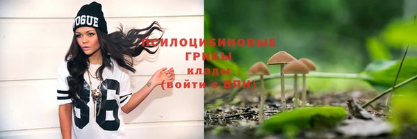 кристаллы Абаза