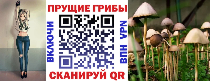 Галлюциногенные грибы Cubensis  mega онион  Монино 