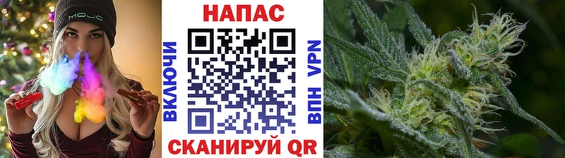 Конопля конопля  kraken ССЫЛКА  это телеграм  Монино 